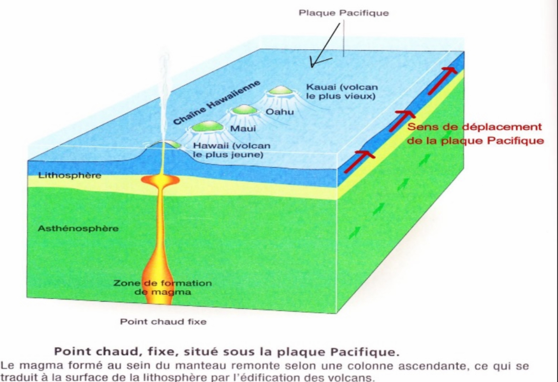 <p>→ <span><strong>points chauds:</strong></span> zones de fusion de magma fixes dans le manteau (déplacement uniquement vertical)</p><p>→ <span><strong>point chaud sous un volcan =</strong></span> <span><strong>volcan actif </strong></span>(et inversement; volcans plus anciens, ne sont plus actifs car le point chaud n’est plus situé sous eux)</p><p>→ <span><strong>alignements volcaniques:</strong></span> trace du <span><strong>déplacement de la plaque </strong></span>au dessus d’un point chaud (vitesse constante, direction change) </p>