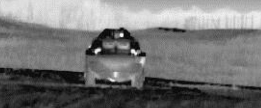 term image