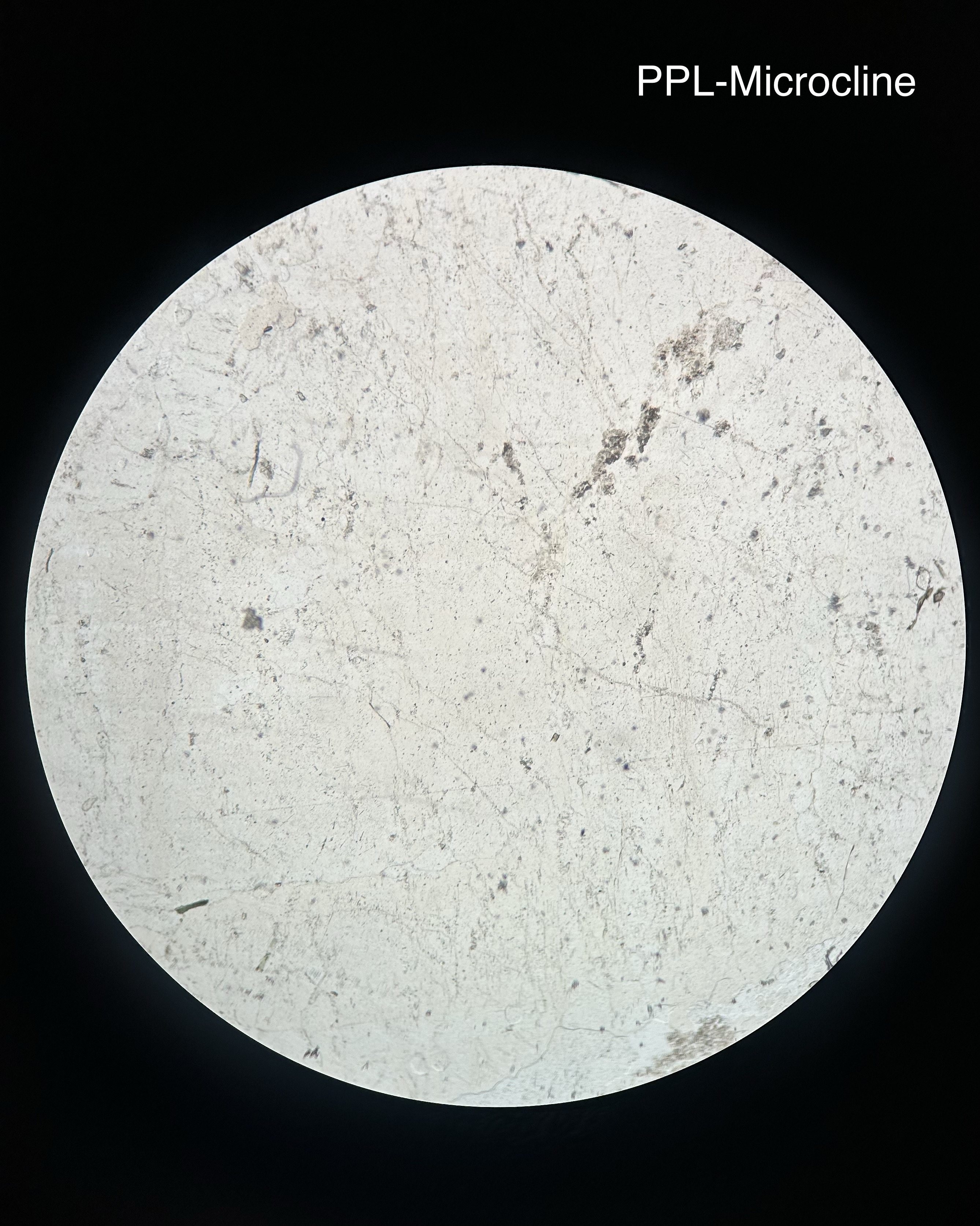 <p>Orthoclase Feldspar- K feldspar/ Microcline</p>