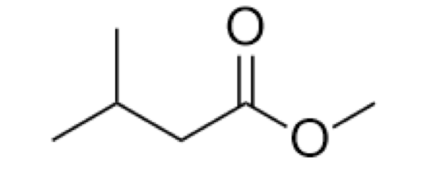 <p></p>