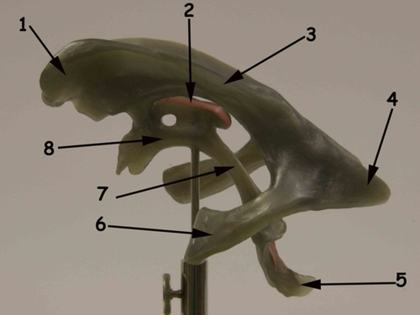 <p>1</p>