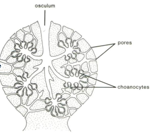 <p>What canal system is this?</p>