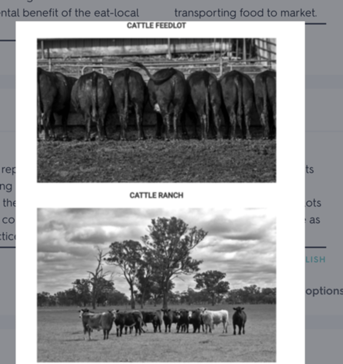 <p>feedlots can minimize costs associated with livestock production because feedlots do not use as much space as cattle ranching.</p>