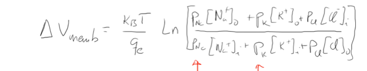 <p>This one:, however, CL- is so close to 0 it can basically be discarded. </p>