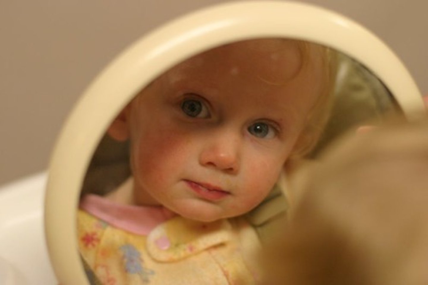 <p>to look at oneself</p>