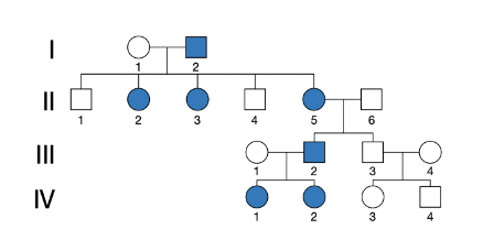 <p>males with the trait pass it onto all his daughters and none of his sons, a female with the trait may pass it onto her daughters and sons</p>