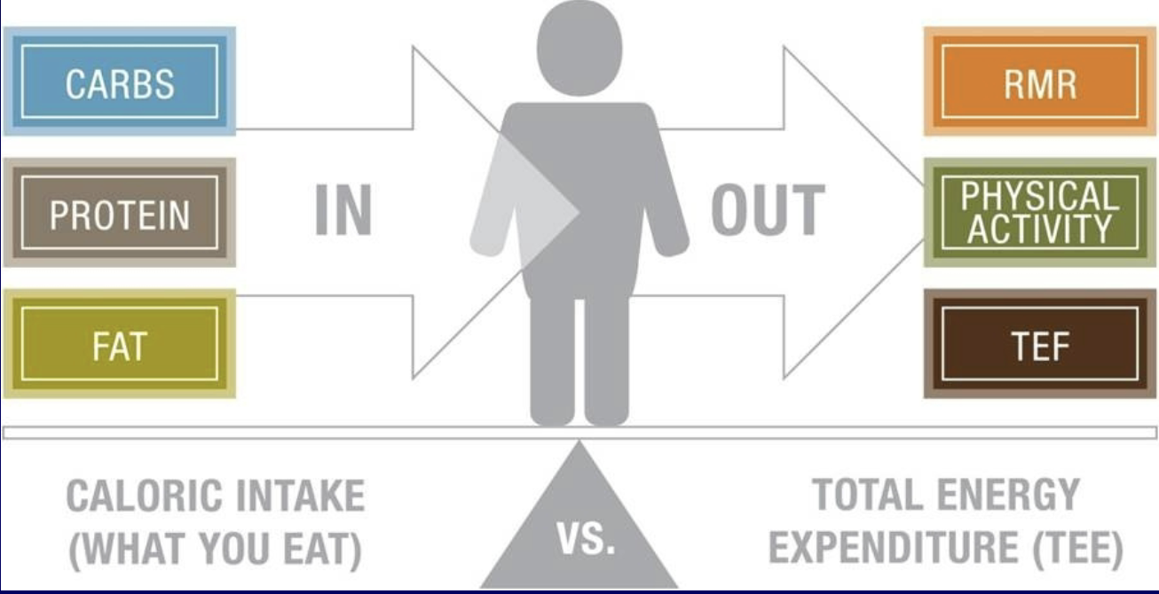 <p><strong>Energy Balance = (Intake – Expenditure)</strong></p><ul><li><p>If intake and expenditure are equal, then weight will remain stable</p></li><li><p>If intake exceeds expenditure, then weight will increase</p></li><li><p>If intake is less than expenditure, then weight will decrease</p></li></ul><p><u>Expenditure</u></p><ul><li><p>RMR (60-75%)</p></li><li><p>Activity - exercise, non-exercise activity (15-30%)</p></li><li><p>Thermic effect of feeding – energy required for digestion (10%)</p></li></ul><p></p>