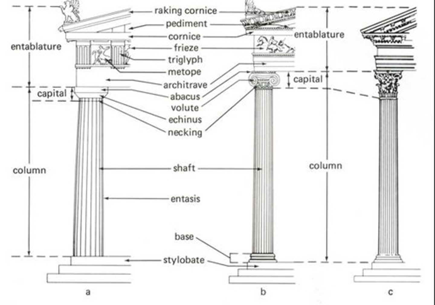<p>frieze - top part</p><p>Frieze is decorated with triglyphs (3 lines) and metopes (spaces)</p>