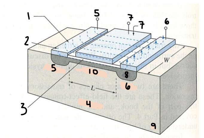 <p>Label the following 1-9 on the PMOS</p>