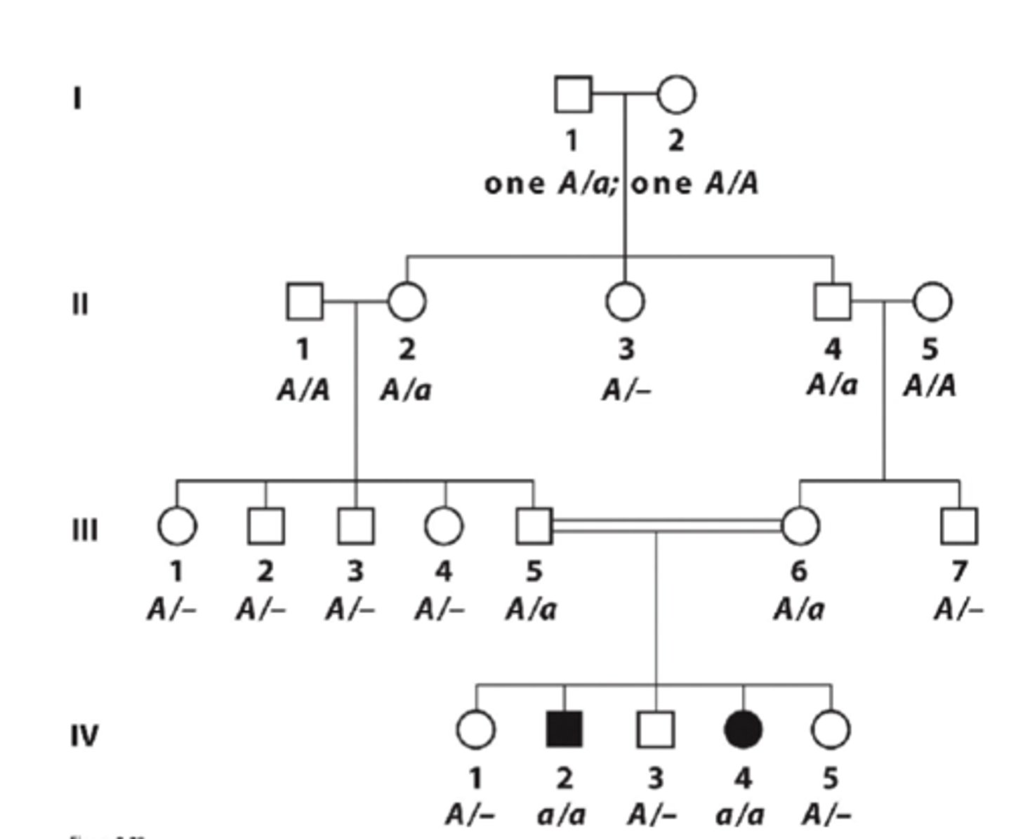 <p>- Affected individuals are a/a</p><p>- For affected parents: all children affected</p><p>- For unaffected parents: If heterozygote, half of children will be affected, appearing equally in both sexes CAN BE RESULT OF CONSANGUINEOUS MATING</p><p>- Rare recessive traits show horizontal pattern of inheritance (spread among unrelated individuals)</p>