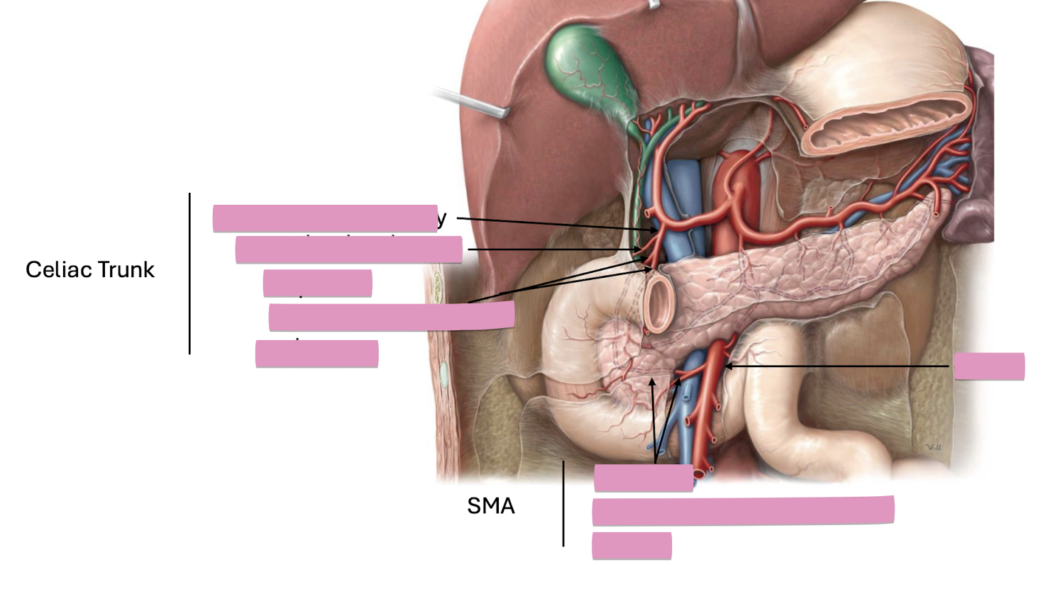 <p>Fill in the blank </p>