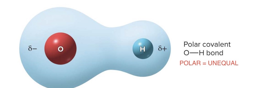 <p>electrons are shared <strong><mark data-color="#d7d2ff" style="background-color: rgb(215, 210, 255); color: inherit;">unequally</mark></strong></p><p>ex → hydrogen bonding with oxygen, electrons spend more time by oxygen</p>
