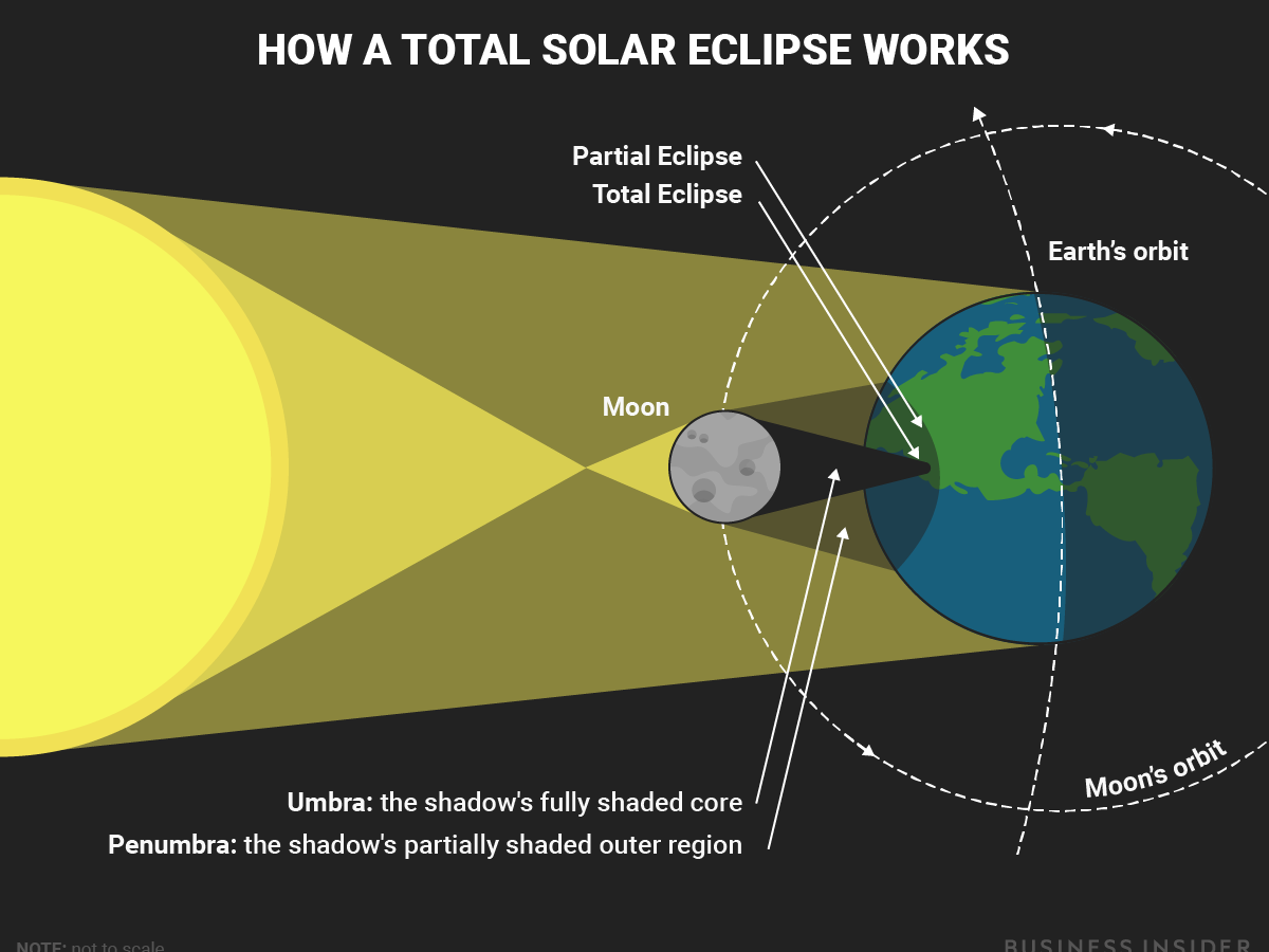 <p>an eclipse that occurs when a region of earth&apos;s surface passes under the moon&apos;s umbral shadow and the sun disk is fully blocked</p>
