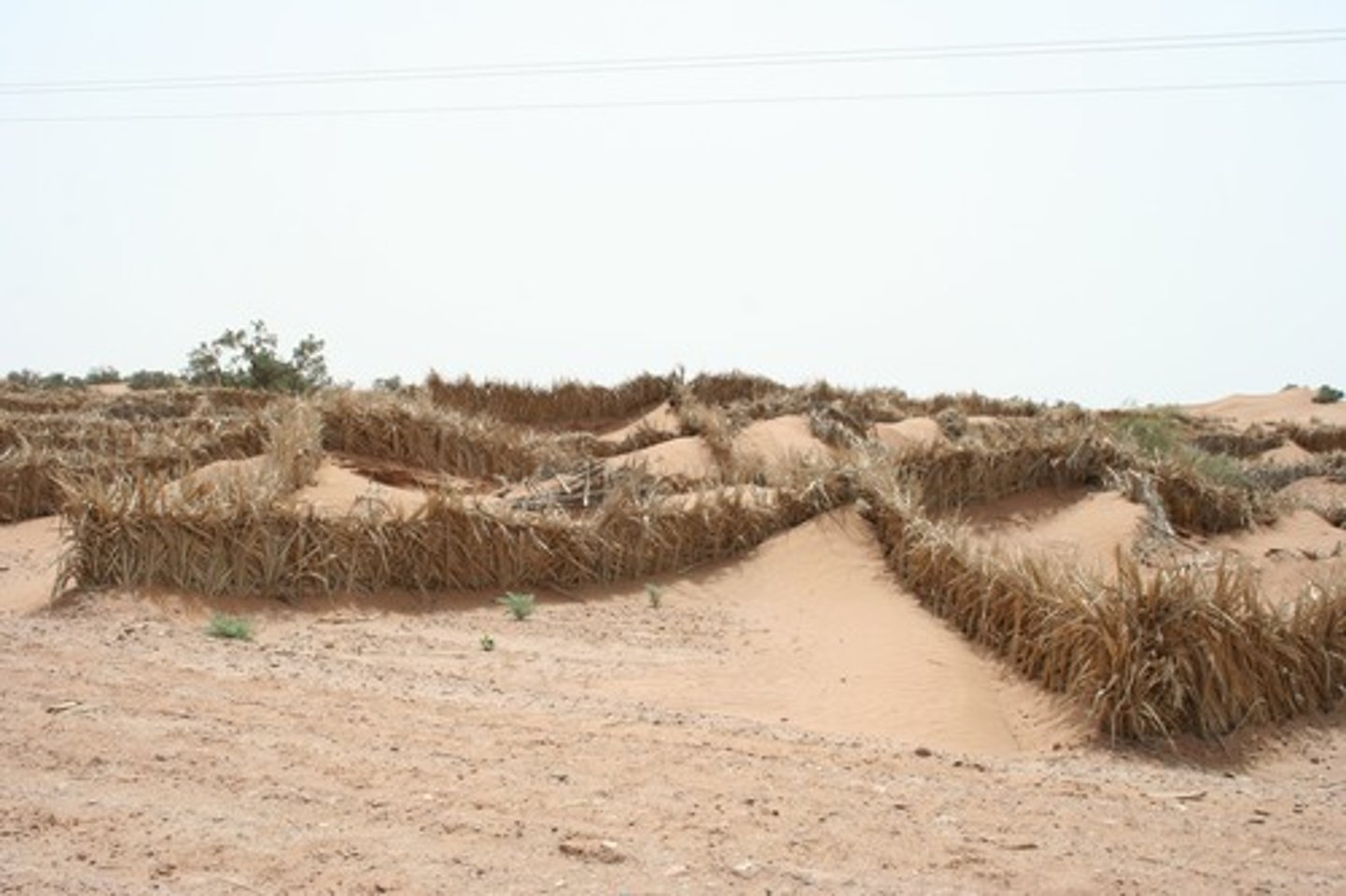 <p>The degradation of arid or semiarid land so that it becomes a desert.</p>