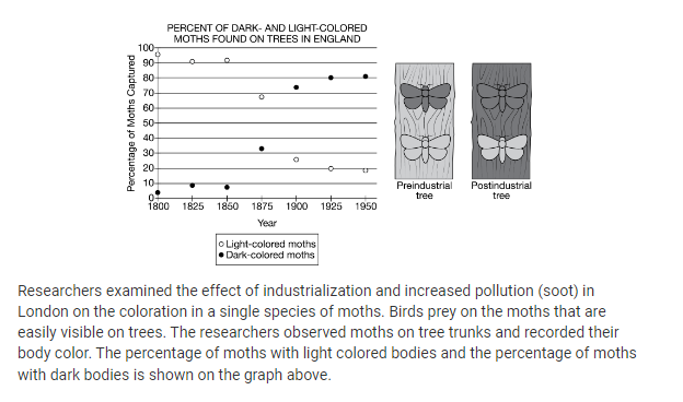 <p>Based on the data in the graph, which of the following best describes the change in the population of moths as a result of industrialization?</p><p><strong>A. </strong>The percentage of dark colored moths increased in the population and the percentage of light-colored moths decreased in the population.</p><p><strong>B. </strong>The percentage of dark-colored moths decreased in the population and the percentage of light-colored moths increased in the population.</p><p><strong>C. </strong>The percentage of dark colored moths decreased in the population after 1850 and the percentage light-colored moths remained constant throughout the time period.</p><p><strong>D. </strong>The percentage of both the dark-colored moths and the light-colored moths remained constant throughout the time period.</p>