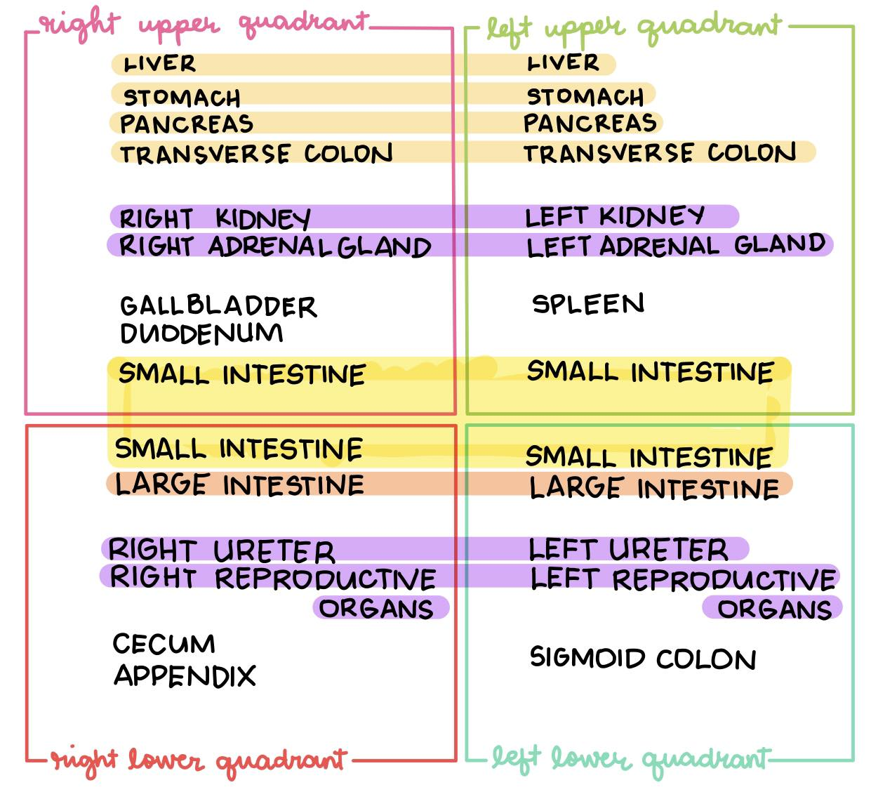 <p>Right lower quadrant</p>