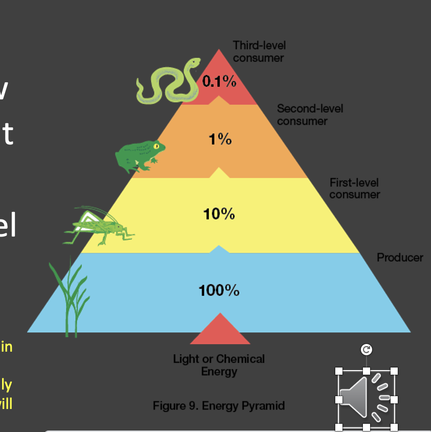 <p>energy flow is inefficient from one tropic level to another. when energy is passed in an ecosystem from one trophic level to the next, only 10% of the energy will be passed on. 90% of that energy will be lost as heat, etc. to the environment</p>