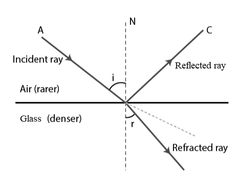 path of light bends and speed of light changes (light bends towards the normal when moving into denser media and vice versa)
