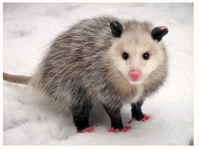 <p>What is this?</p>