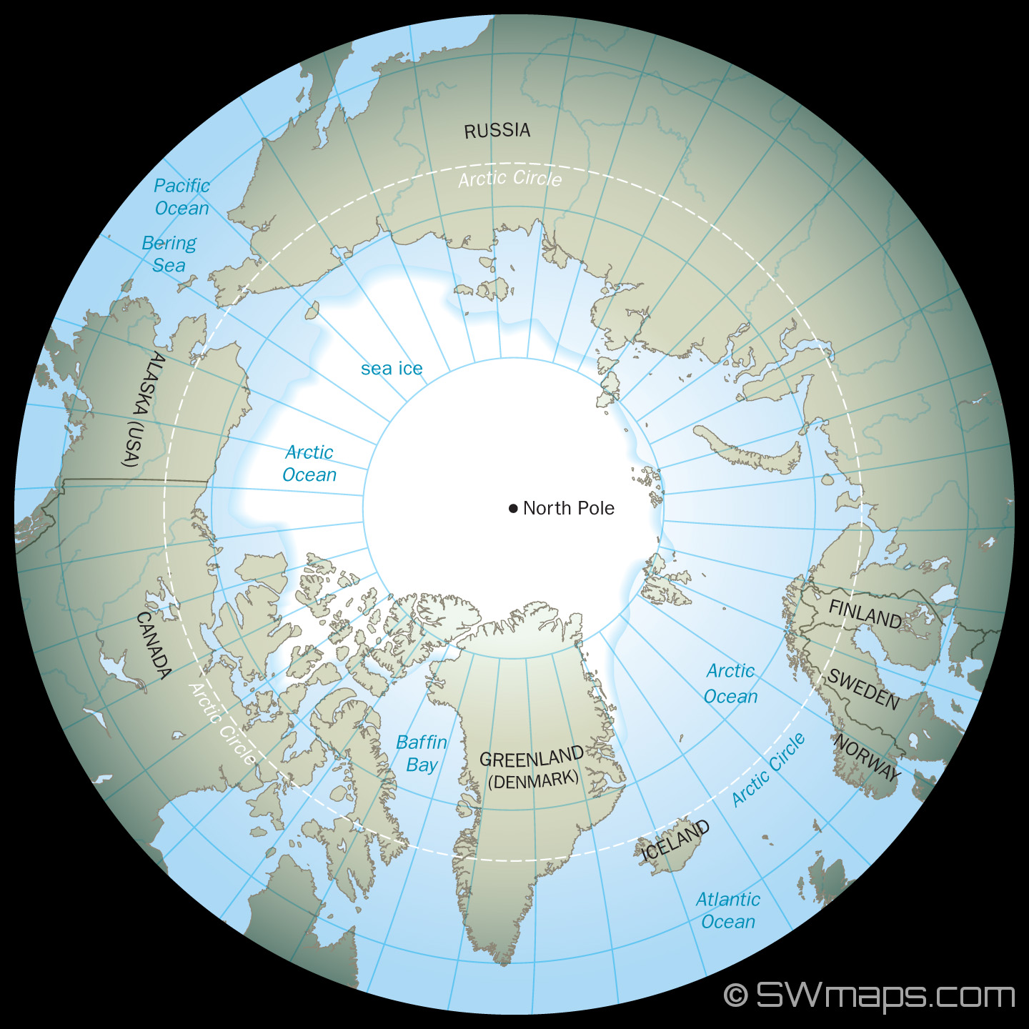 <p>The point on Earth located at 90 degrees north latitude, where the lines of longitude meet.</p>