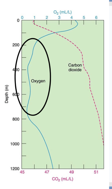 What is the circled region on the O2 profile called