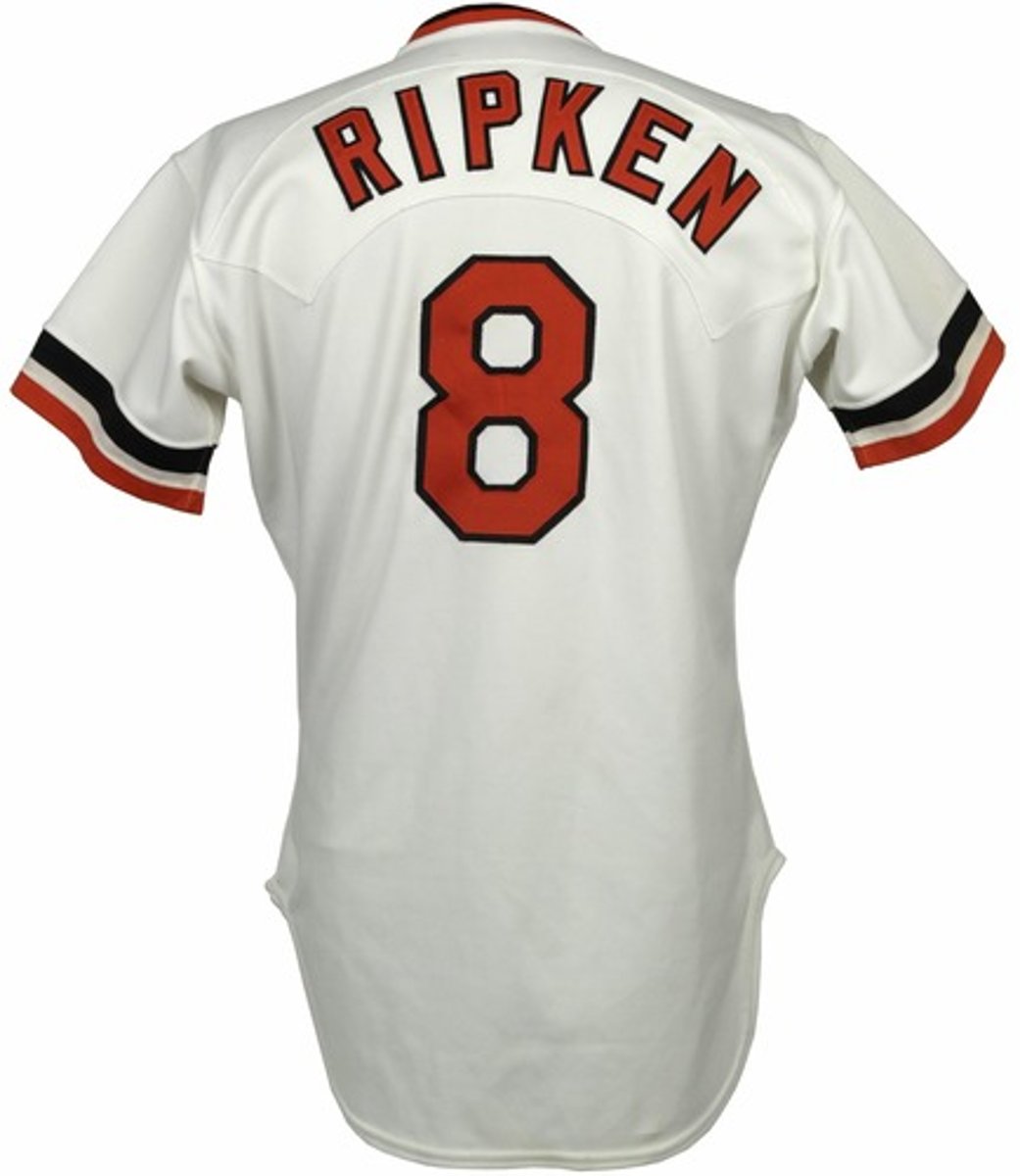 <p>last name, surname</p>
