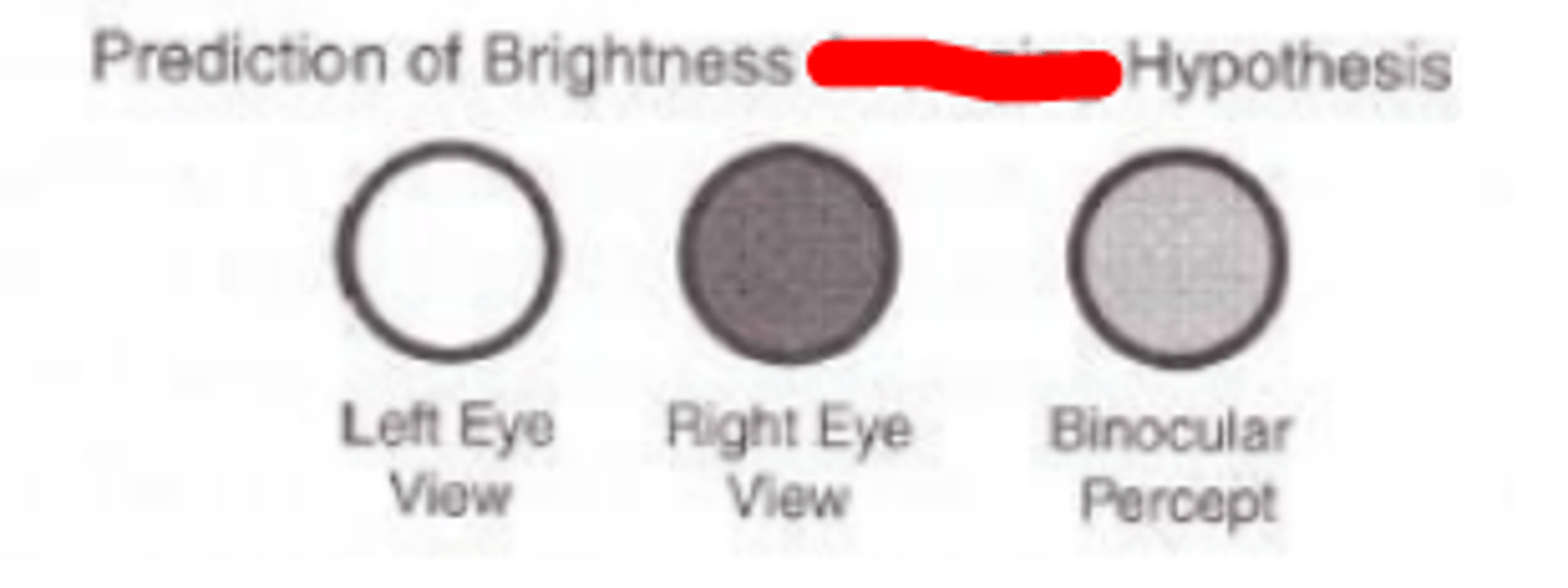 <p>Hypothesis of Fechners paradox stating that the visual system averages the perceived brightness of each eye, and that the binocular percept has a brightness that is midway between the brightness of the monocular percepts. Correctly describes what occurs.</p>