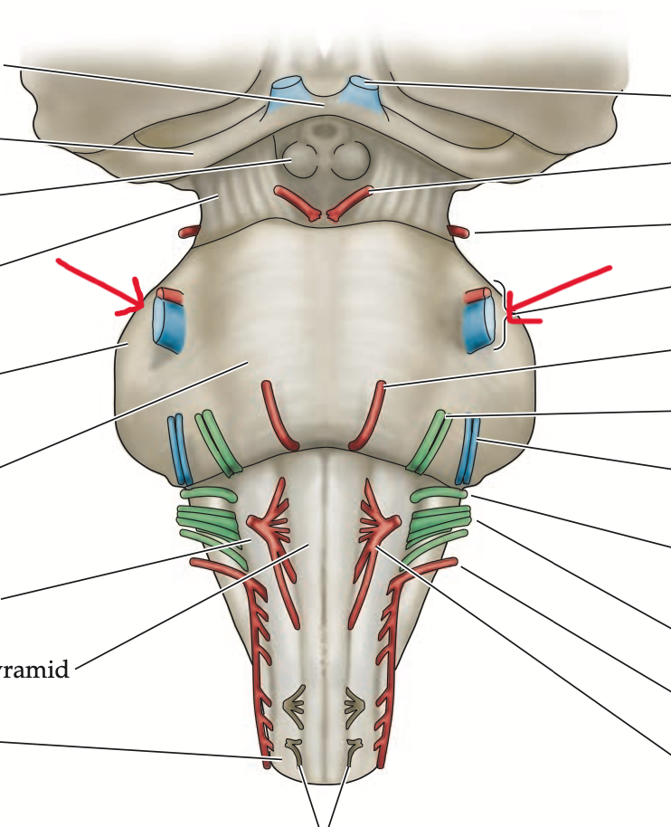 <p>Structure. snowman</p>