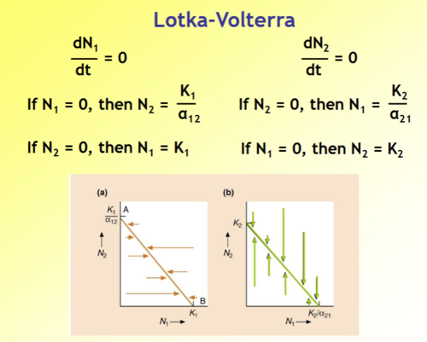 <p>If on left size species 1 would increase</p><p>If on right side species 1 would decrease</p><p>for species 2 if population is below line it will increase</p><p>If population is above line it will decrease</p>