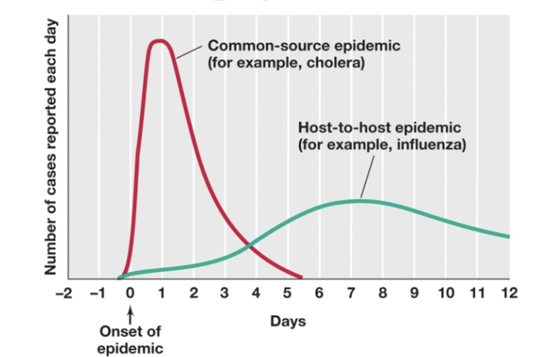 <p>rapid rise to peak of infection, moderately rapid decline</p>