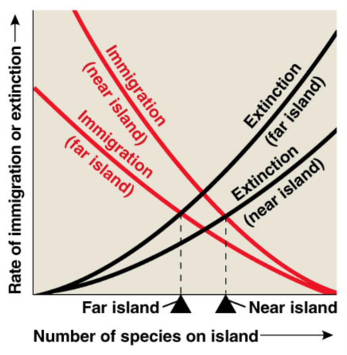 <p>Inverse relationship between island distance from mainland &amp; species richness.</p>
