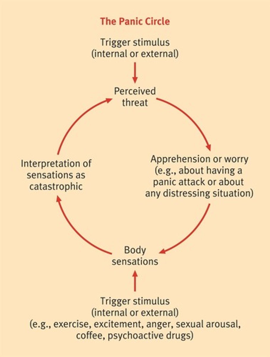 <p>Characterized by recurrent, unexpected panic attacks.</p>