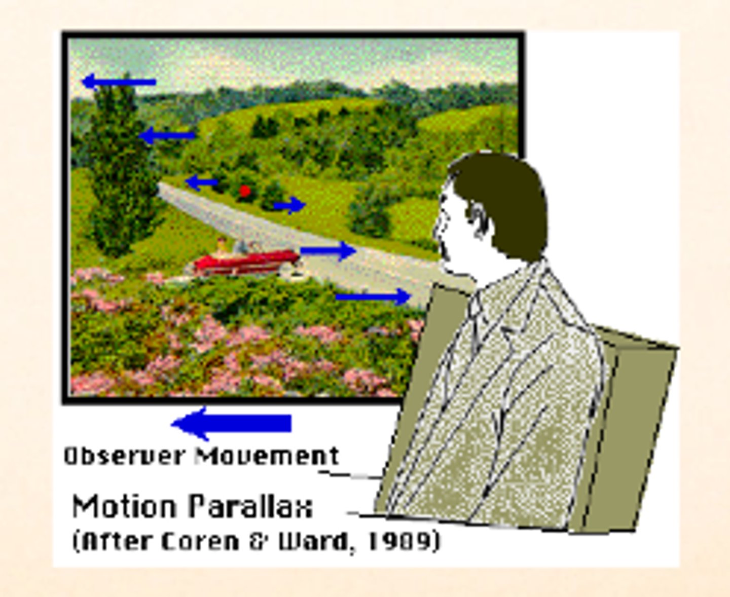 <p>When you are riding in a car, (for example), and look at distant mountains, the objects in a nearby field seem to be moving in the opposite direction to your movement, Yet, when you look at distant mountains, the objects in a nearby or land beyond the animal seem to be moving in the same direction that you are</p>