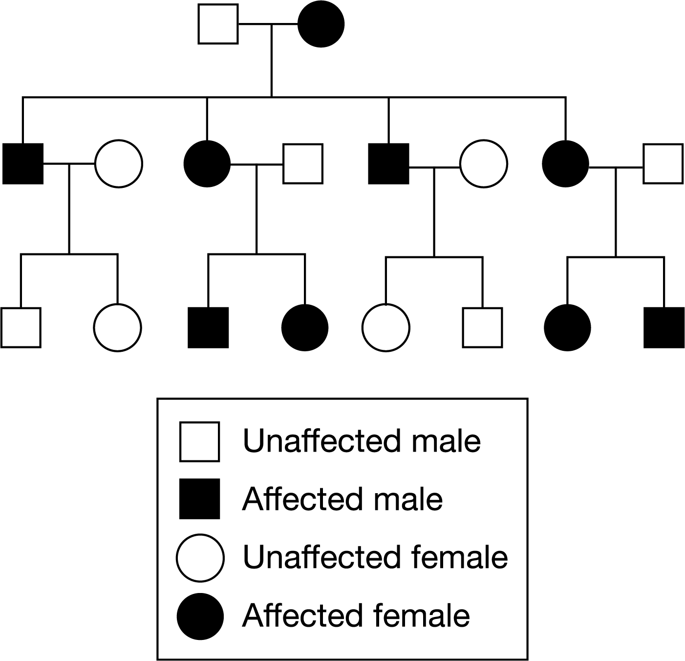 <p>Figure 1. A pedigree of three generations of a family that have a high frequency of a particular genetic condition. Figure 1 shows the inheritance of a particular genetic condition in three generations of one family. Which of the following best explains the observed pattern of inheritance?</p><p>A) The condition is passed randomly because of the independent assortment of chromosomes.</p><p>B) The condition is passed from fathers to sons via a Y -linked gene.</p><p>C) The condition is passed from mothers to sons via an X -linked gene.</p><p>D) The condition is passed from mothers to offspring via a mitochondrial gene.</p>