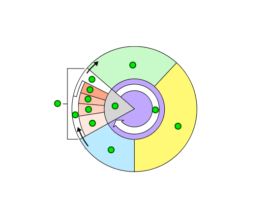 <p>Label the stages of the Cell Cycle</p>
