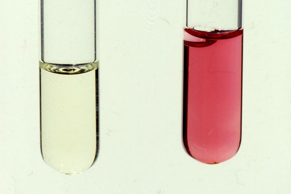 VP pos and neg reaction