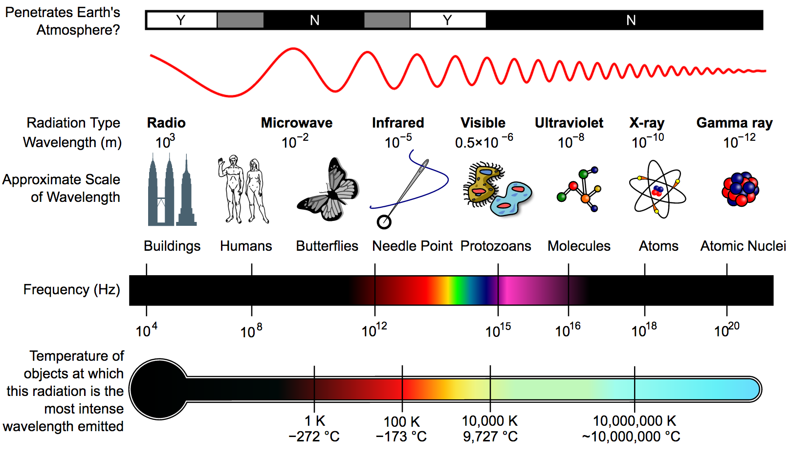 <p>Blue stars = hotter</p><p>Red stars = cooler </p><p></p><p>because of of wavelength and frequency </p><p>R M I V U X G (order of emag spectrum)</p>