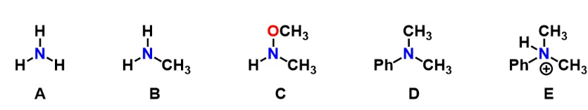 <p><span>Which of the follow molecules represent an unsubstituted amine(s)?</span><br></p>