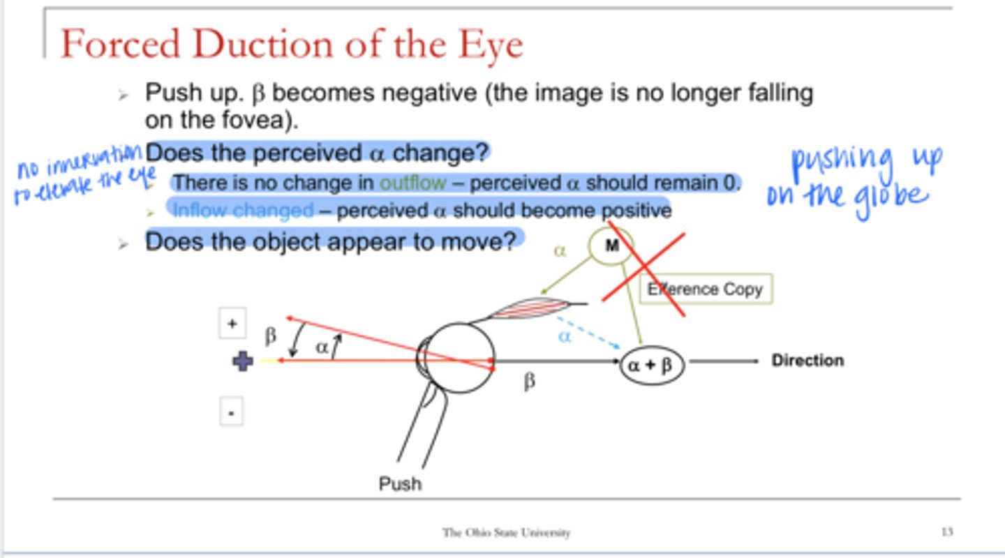 <p>Does α change during the forced duction test based on both the inflow and outflow theory?</p>