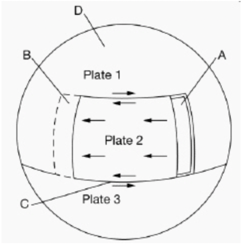 <p>At which of the following sites would activity result in volcanoes, island arcs, and mountains?</p>