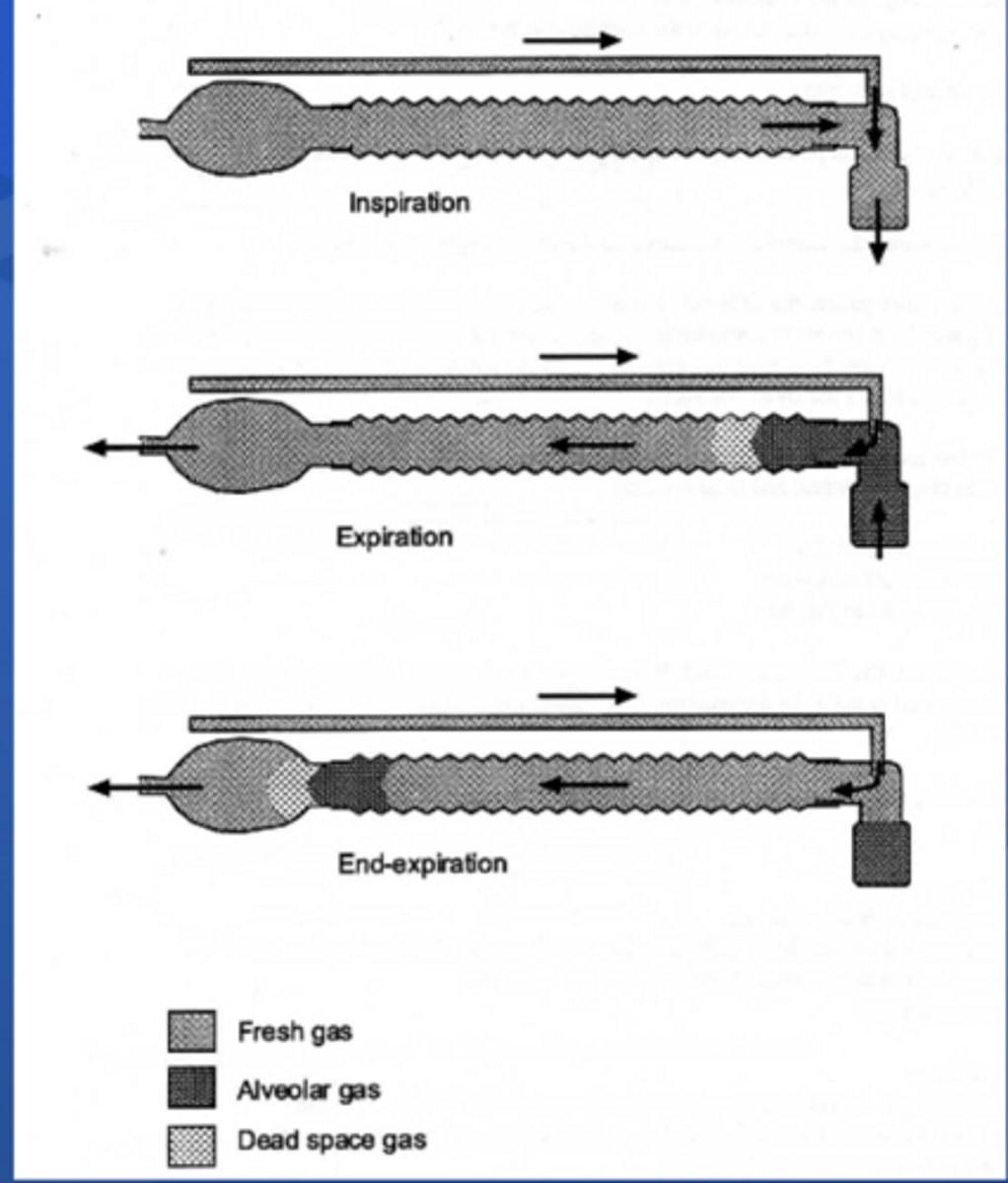 <p>Inhale fresh gas, exhale CO2, and fresh gas washes out exhaled gas before inspiration</p>