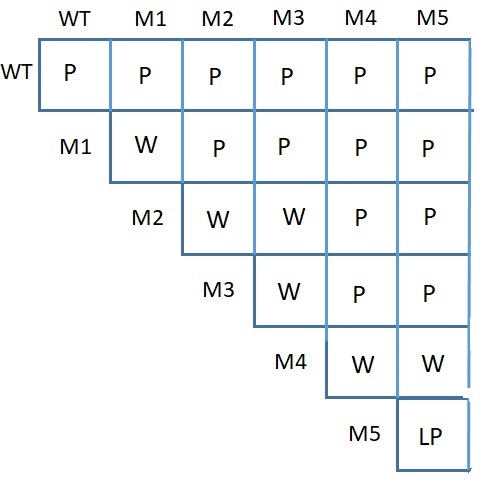 <p><span style="font-family: system-ui; font-size: 17px;">A plant scientist (Yes, all real scientists are plant scientists) found a set of white and light purple plants from a species where wildtype is Purple. Using the complementation cross table, how many genes have they found that influence this trait?</span></p>