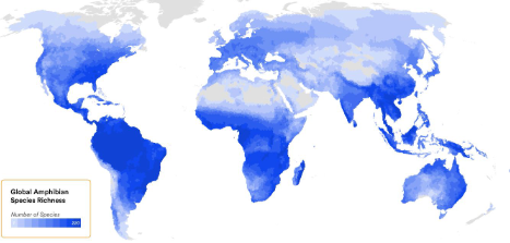 <ul><li><p>Globally distributed but absent in Antarctica</p></li><li><p>Over 8,600 amphibian species</p></li><li><p>Common in humid tropical environments</p></li><li><p>Some adapt to extremes, from deserts to Arctic tundras</p></li></ul><p></p>