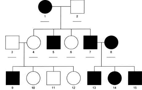 <p>What pattern of Mendelian Inheritance is this?</p>