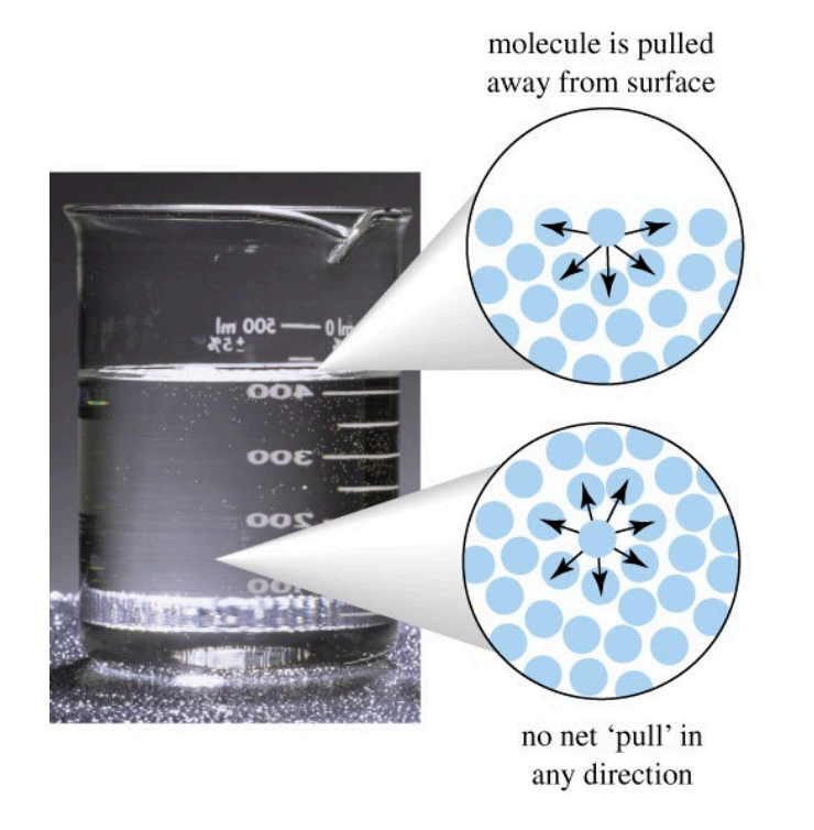 <p>The resistance of a liquid to increase its surface area, originating from <strong>attractive cohesive forces</strong> among molecules within the liquid. Molecules at the surface experience a net inward pull towards the bulk liquid because they lack balanced forces pulling outwards</p><p></p>