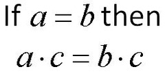 If you multiply each side of an equation by the same nonzero number, the two sides remain equal.