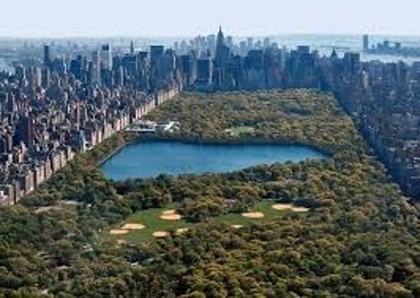 <p>central park</p>