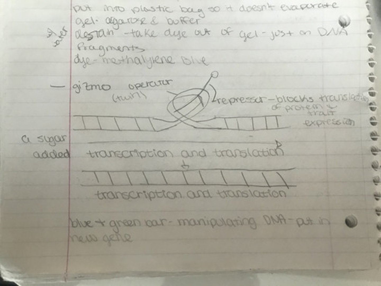 <p>готовиться по конспектам</p>