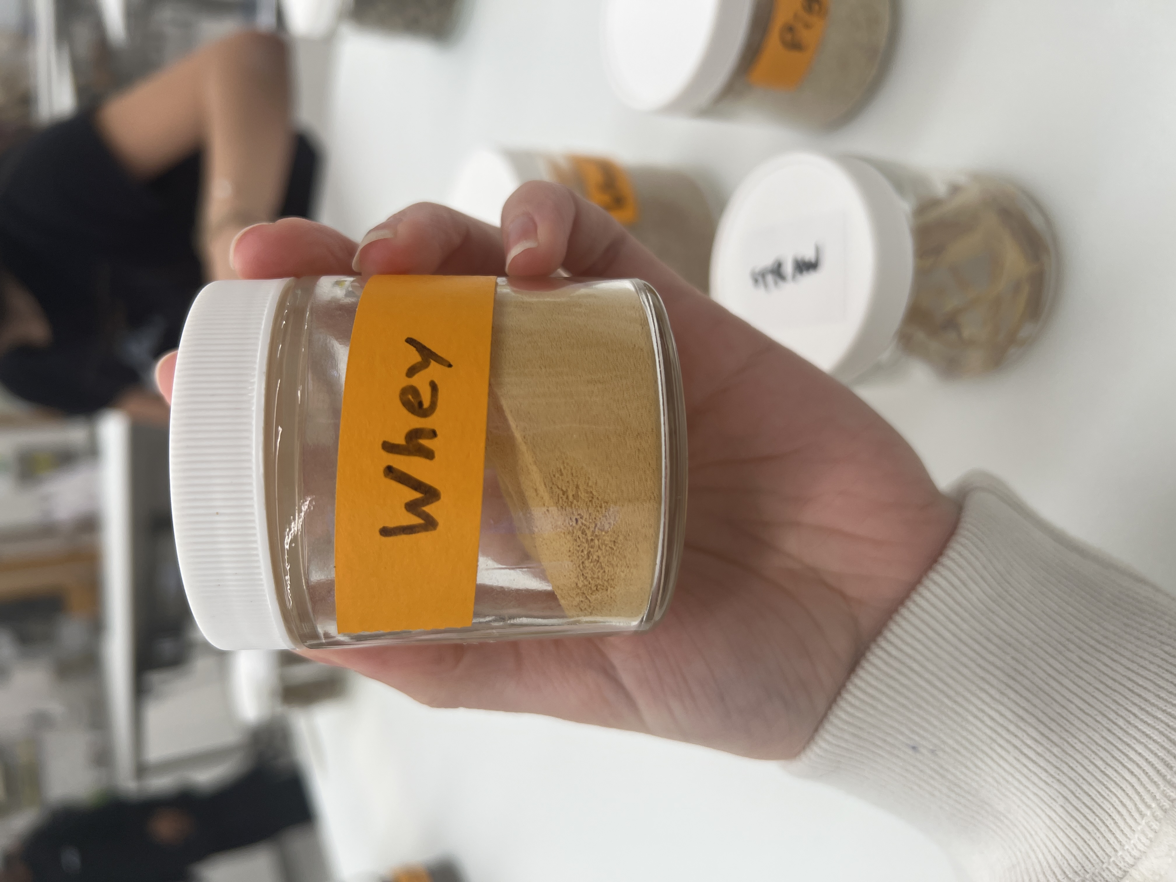 <ul><li><p>IFN # and category: 4 high energy concentrate</p></li><li><p>AAFCO category: animal protein product</p></li><li><p>appearance: yellow powder, kinda smells like milk</p></li></ul><p></p>