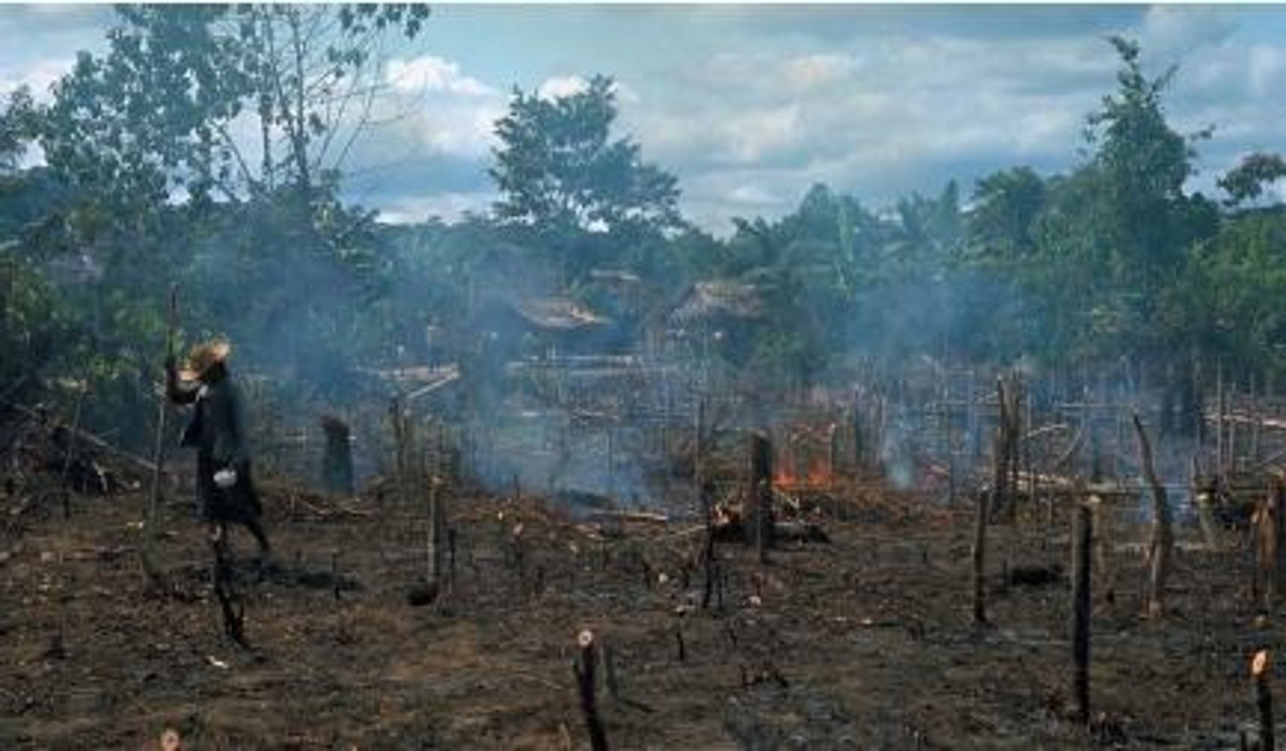 <p>System of cultivation that usually exists in tropical areas where vegetation is cut close to the ground and then ignited. The fire introduces nutrients into the soil, thereby making it productive for a relatively short period of time.</p>